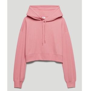 Aritzia Cropped Hoodie